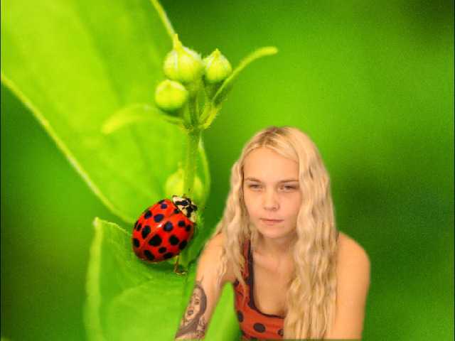 Bilder AnnaHappy18 ...the story of the lonely ladybug.