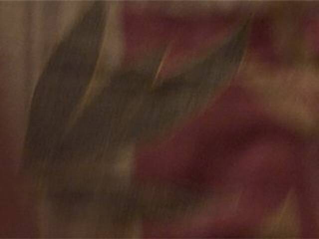 Kringkasting av skjermbilder AshaPM