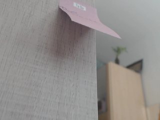 Kringkasting av skjermbilder Ylangg