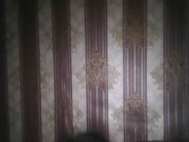 Kringkasting av skjermbilder -jasmine-