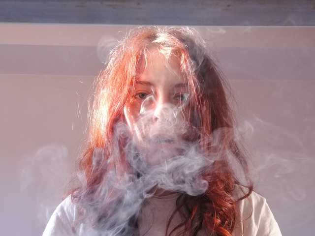 Foto av profilen cato-avocato