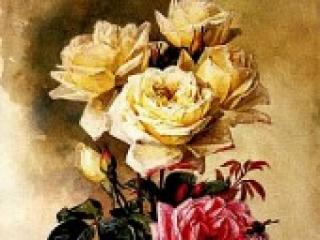 Erotisk videochat cowtitts