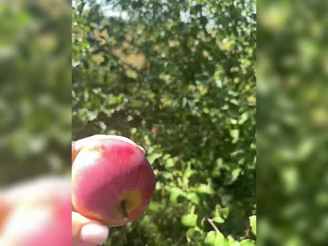 Kringkasting av skjermbilder SSaibaliii