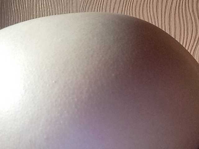 Kringkasting av skjermbilder Darinaray777