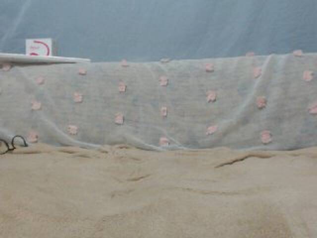 Kringkasting av skjermbilder DonnaWildJoyy