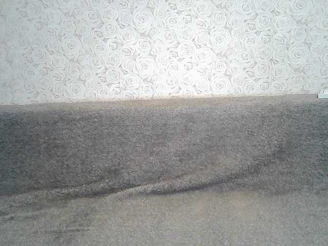 Kringkasting av skjermbilder ElegantBlonda