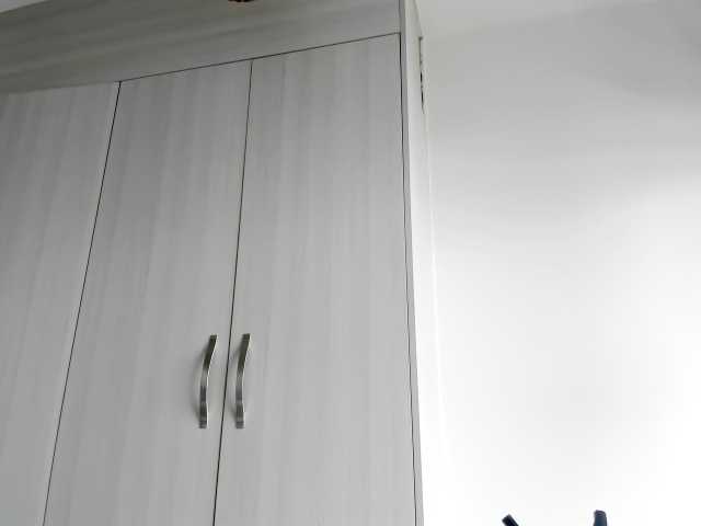 Kringkasting av skjermbilder fitnessebony