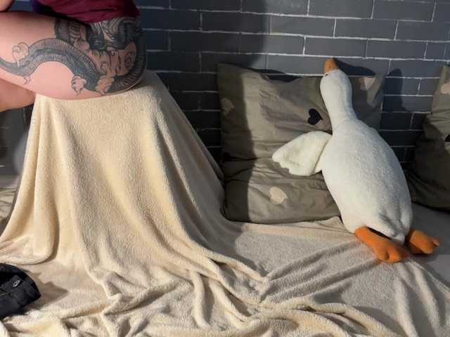 Kringkasting av skjermbilder Fox-Paws