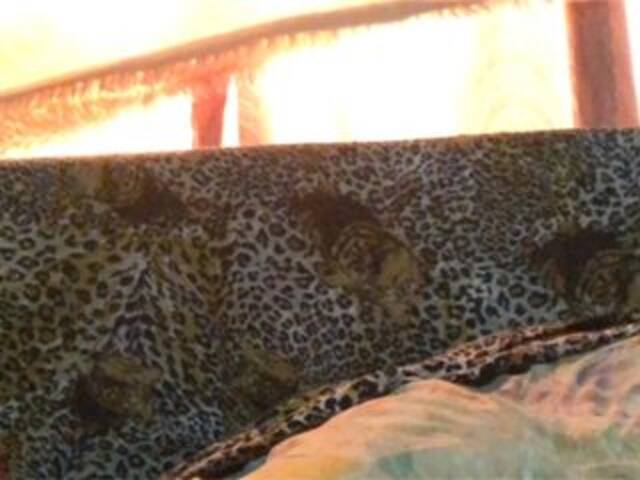 Kringkasting av skjermbilder Grappa01