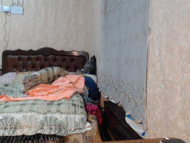 Kringkasting av skjermbilder Katernia48