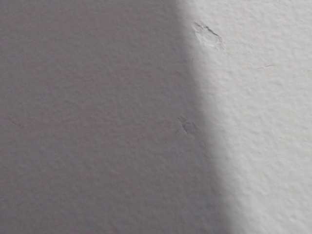 Kringkasting av skjermbilder Katithompson