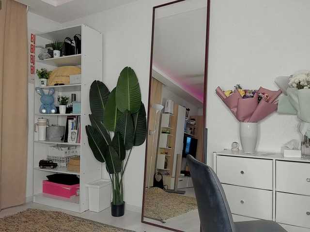 Kringkasting av skjermbilder leilasweet