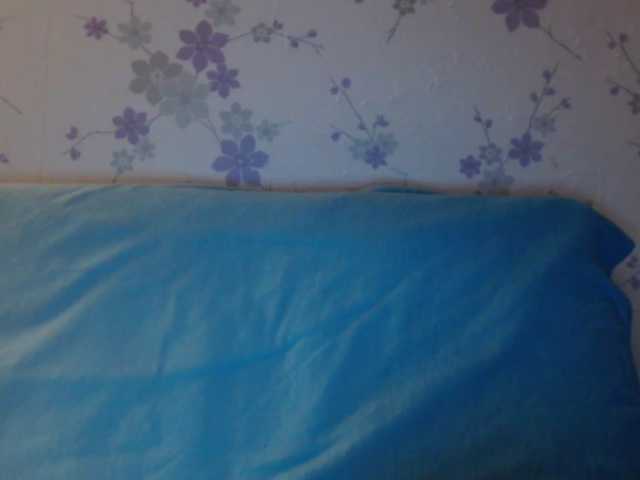 Kringkasting av skjermbilder littledevi