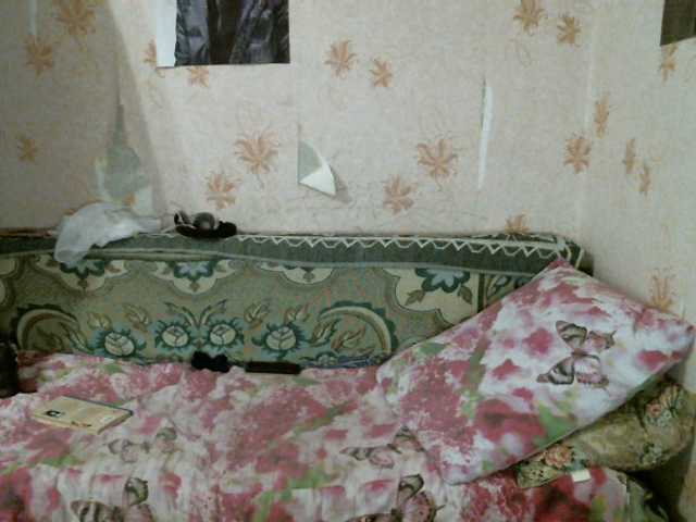 Kringkasting av skjermbilder kar0linaa666