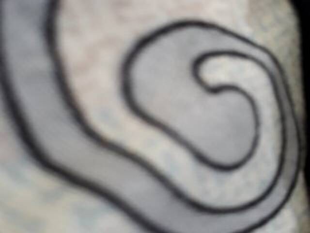 Kringkasting av skjermbilder Pussycash