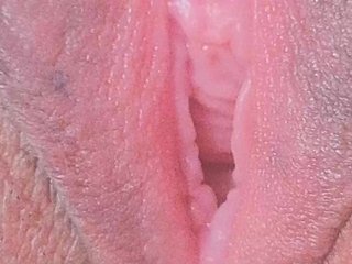 Erotisk videochat orchide-kitty