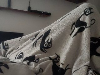 Erotisk videochat Psihi