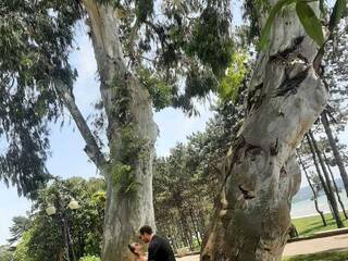 Erotisk videochat PUPI-DEL-REY