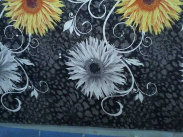 Kringkasting av skjermbilder Samara4u