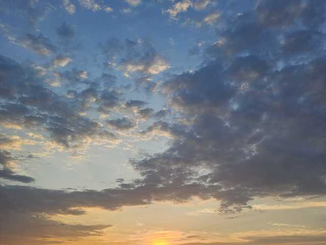 Foto av profilen onehumanbeing