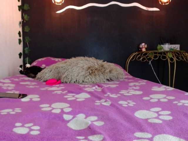 Kringkasting av skjermbilder SexyKataShow