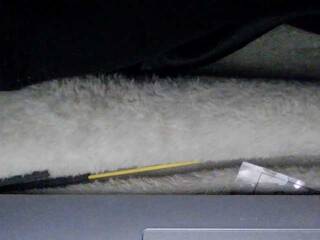 Erotisk videochat sexysapphiresweet