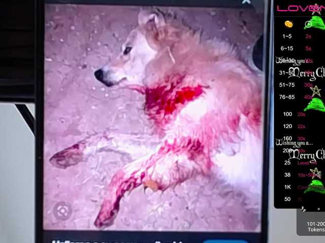 Kringkasting av skjermbilder sofiaclaus