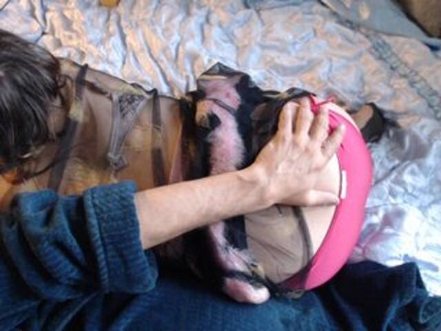 Kringkasting av skjermbilder Masha_Ivanova