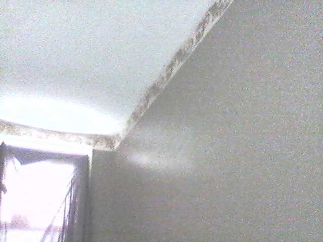 Kringkasting av skjermbilder supa19kitty