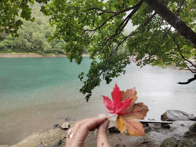 Foto av profilen _GoodGirl_