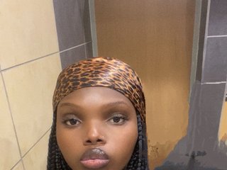 Erotisk videochat Wildcata