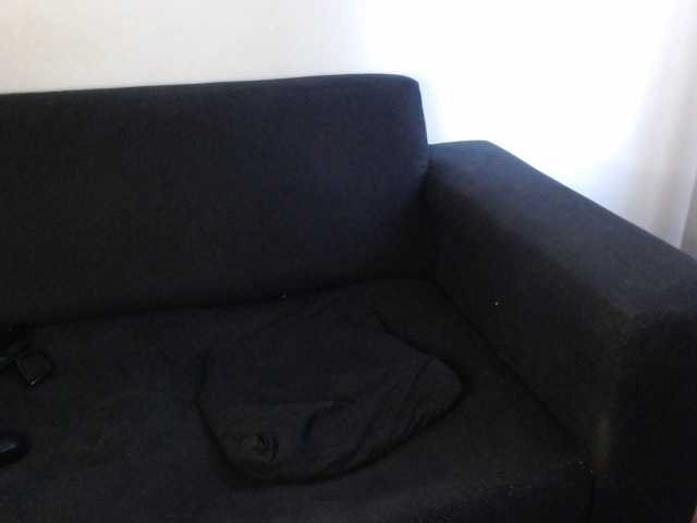 Kringkasting av skjermbilder WildPetal963