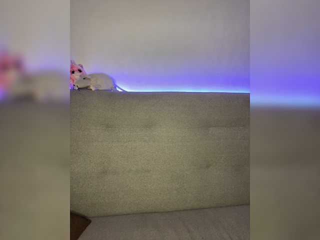 Kringkasting av skjermbilder Wulka