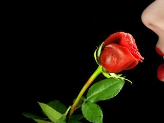 Foto av profilen xxsweetlady